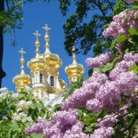 Церковь Екатерининский дворец